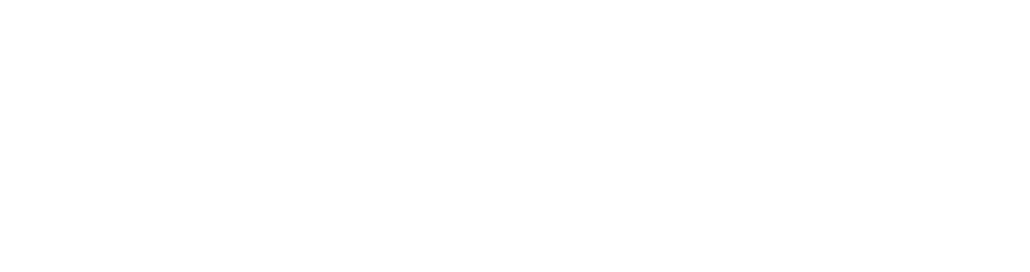 Savant logo white